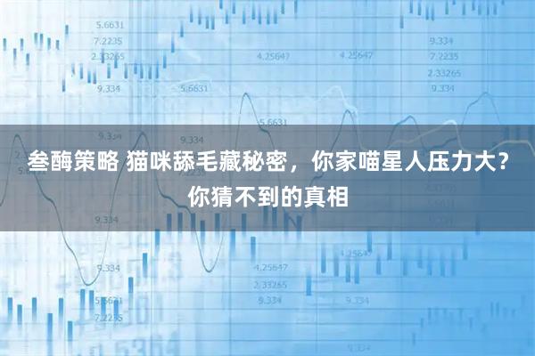 叁酶策略 猫咪舔毛藏秘密，你家喵星人压力大？你猜不到的真相