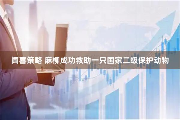 闻喜策略 麻柳成功救助一只国家二级保护动物