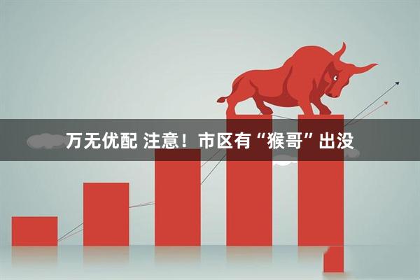 万无优配 注意！市区有“猴哥”出没