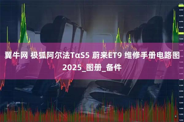 翼牛网 极狐阿尔法TαS5 蔚来ET9 维修手册电路图2025_图册_备件