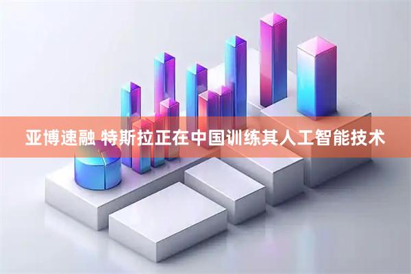 亚博速融 特斯拉正在中国训练其人工智能技术