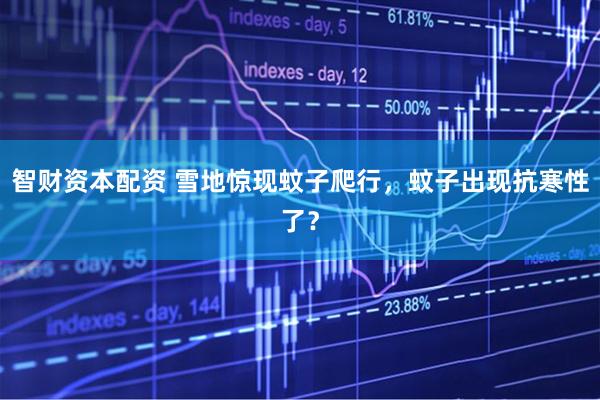 智财资本配资 雪地惊现蚊子爬行,蚊子出现抗寒性了?